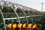 河南蔬菜大棚支架、温室大棚骨架、大棚 骨架机