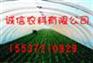 蔬菜大棚花卉大棚养殖大棚诚信农科