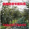 大棚支架 大棚支架机 无支柱大棚支架机