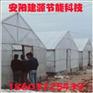 新型连体温室大棚 温室大棚 温室大棚骨架