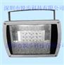 RBF09-18DG LED泛光灯