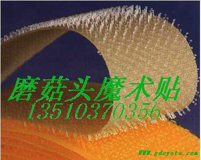 磨菇头魔术贴 (粘扣带)  磨菇头魔术扣  磨菇头粘扣带
