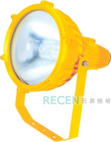 防爆投光灯  防爆灯