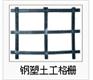供应陕西钢塑格栅生产厂家