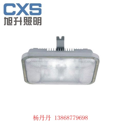 旭升厂家直销 供应CBST6301B LED手提式防爆探照灯  手提式应急灯  经销商