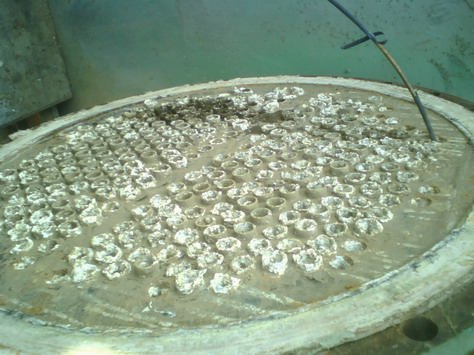 蒸发器 冷凝器清洗选择格蓝不会错  蒸发器清洗  冷冻机清洗