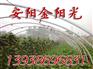 供应温室大棚支架机 蔬菜大棚骨架机 花卉大棚骨架机