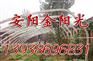 供应温室大棚 无支柱大棚骨架机