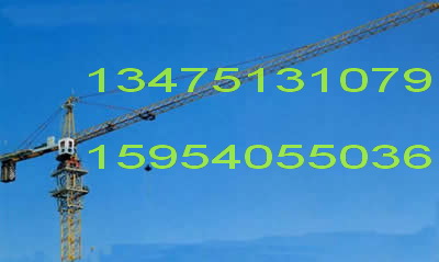 QTZ40塔吊 固恒塔吊 塔式起重机  建筑机械  威海塔吊