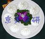 包子机/多功能包子机/新款包子机