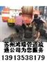 供应苏州化粪池清理抽粪苏州相城区清理污水池抽粪