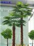 供应人造棕榈树 假棕榈树