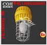 BAD83防爆无极灯、防爆无极灯价格、CCD92防爆照明灯
