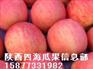 供应苹果