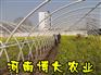 供应蔬菜大棚骨架机 新型钢管渡塑机