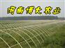 供应无支柱大棚骨架机.新型土豆大棚骨架机