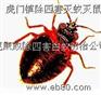 床板发现臭虫怎么办,床板臭虫消杀,床板有臭虫处理,床板杀臭虫