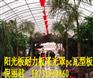 供应<枣庄阳光板><枣庄阳光板><枣庄阳光板>