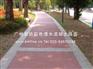 透水混凝土路面,彩色透水混凝土路面,广东透水混凝土路面厂家