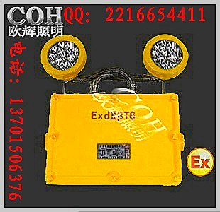 BFC8185 _LED双头防爆应急灯  应急泛光灯
