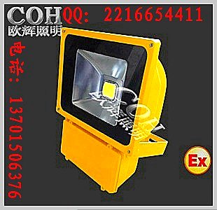 BFC8188 LED防爆泛光灯  江苏防爆泛光灯