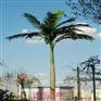 4.	仿真植物首选松涛工艺 专业研制仿真植物仿真椰子树海枣树