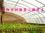 供应新型全自动蔬菜温室大棚骨架机