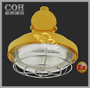 BCW6221防爆吸顶荧光灯