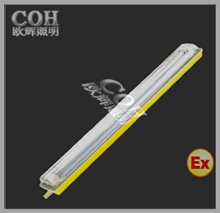 BCX6225粉尘防爆防腐荧光灯