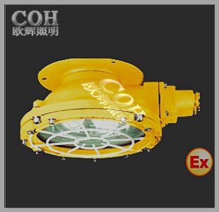 BCW6219防爆顶灯