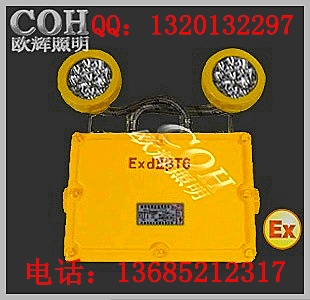 LED双头防爆应急灯、LED防爆应急灯价格  led泛光灯  led防爆灯  led防爆电筒