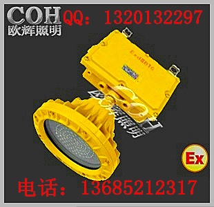 BFE8184_LED隔爆型应急投光灯  led泛光灯  led防爆灯  led防爆电筒