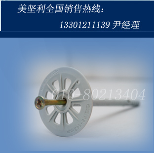 保温钉（网格布专用）  外墙保温钉  外墙保温锚固钉