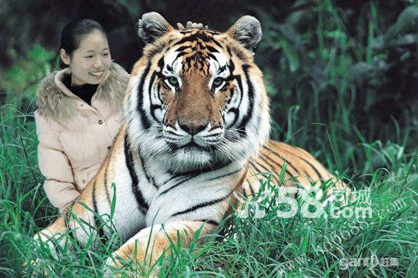 红遍全州“全球拍特效摄影”北京全球拍软件-全球拍设备