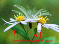 东莞市腾越塑胶制品有限公司