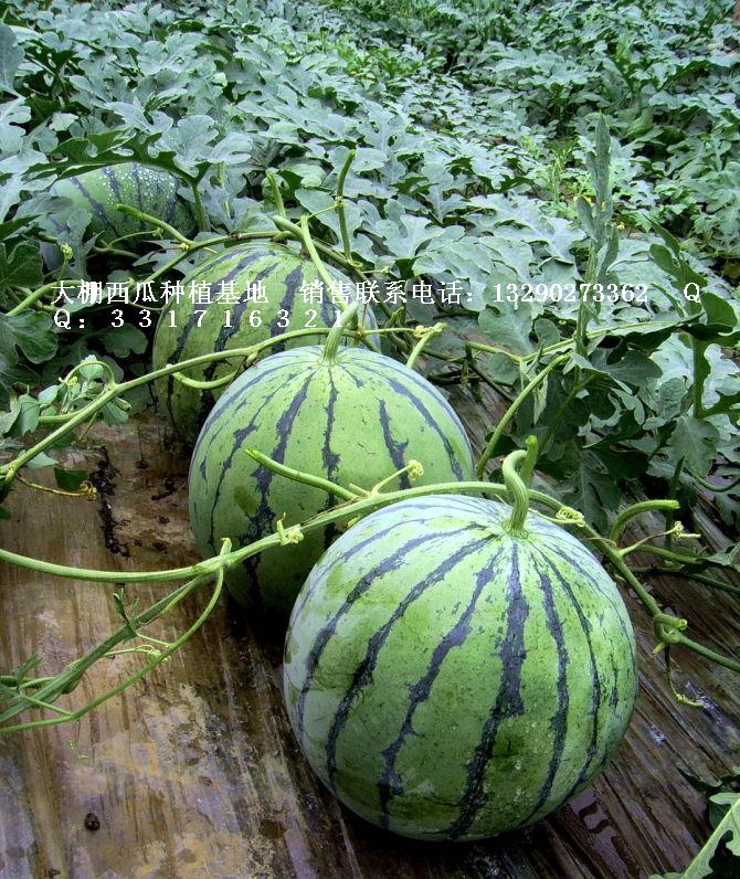 惠民县宝益粮棉果蔬种植专业合作社