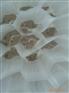 供应蜂窝育苗袋、蜂窝有底育苗袋