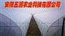 温室大棚骨架 大棚支架机 蔬菜大棚 五洲大棚构建
