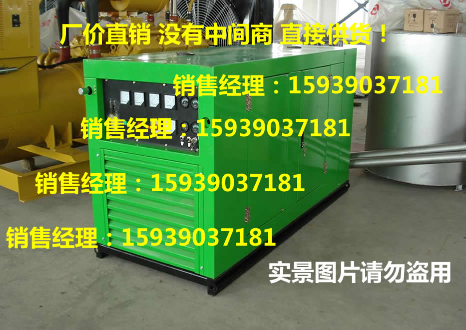 郑州郑电发电机有限公司