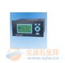 YP1000R经济型无纸记录仪/温度记录仪/压力记录仪