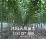 供应白蜡