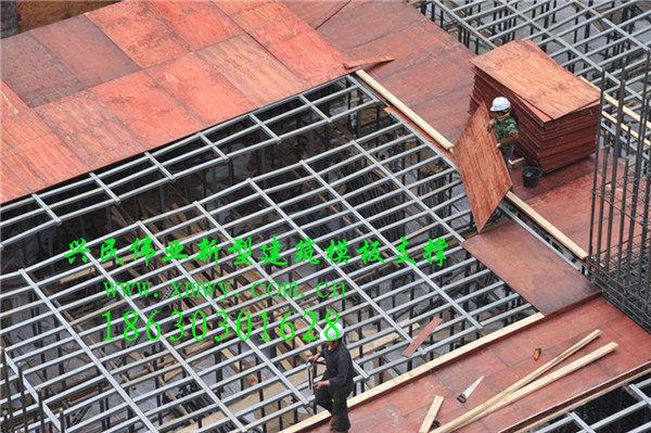 建筑模板脚手架  建筑脚手架  模板支撑