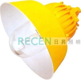 防爆平台灯  防爆灯