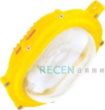 防爆泛光灯  防爆灯