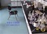 实验室防酸碱地胶 实验室防静电地板 优质实验室塑胶地板
