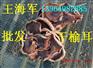 榆耳批发 干榆耳价格直销干榆耳 王海军销售