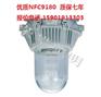 供应S NFC9180！NFC9180型防眩泛光灯