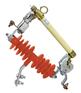 HRW11-10/100A跌落式熔断器