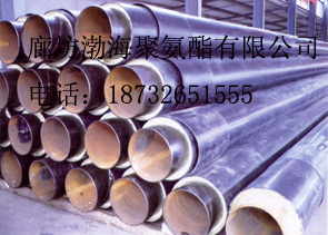 廊坊渤海聚氨酯有限公司Logo