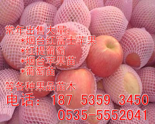 栖霞市松立果品苗木专业合作社